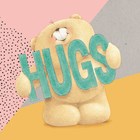 forever friends hugs knuffels
